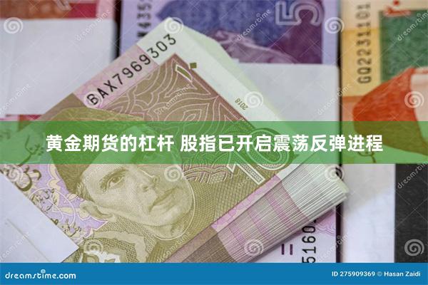 黄金期货的杠杆 股指已开启震荡反弹进程