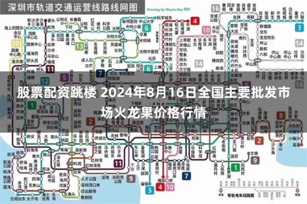 股票配资跳楼 2024年8月16日全国主要批发市场火龙果价格行情