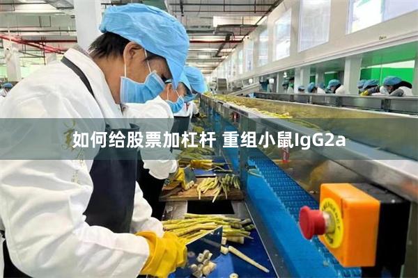 如何给股票加杠杆 重组小鼠IgG2a