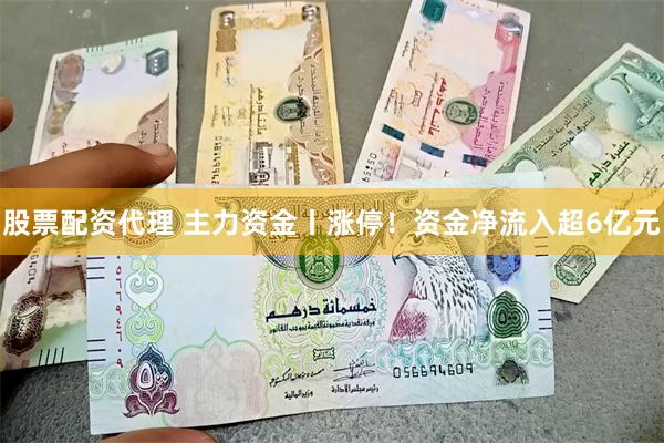 股票配资代理 主力资金丨涨停！资金净流入超6亿元