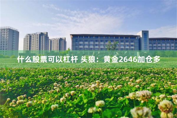 什么股票可以杠杆 头狼：黄金2646加仓多