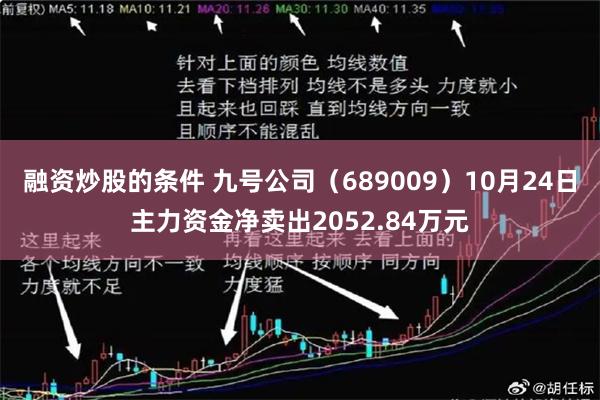 融资炒股的条件 九号公司（689009）10月24日主力资金净卖出2052.84万元