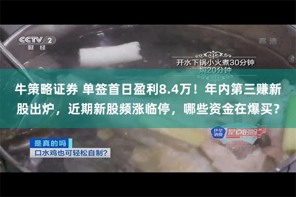 牛策略证券 单签首日盈利8.4万！年内第三赚新股出炉，近期新股频涨临停，哪些资金在爆买？