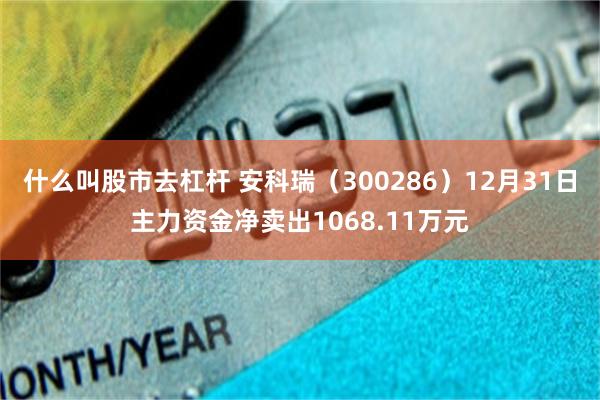 什么叫股市去杠杆 安科瑞（300286）12月31日主力资金净卖出1068.11万元