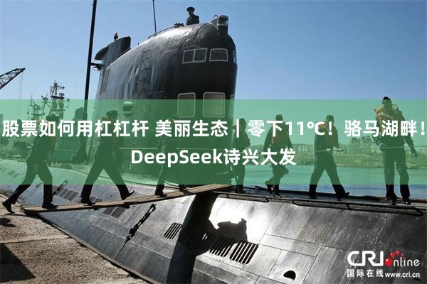 股票如何用杠杠杆 美丽生态｜零下11℃！骆马湖畔！DeepSeek诗兴大发