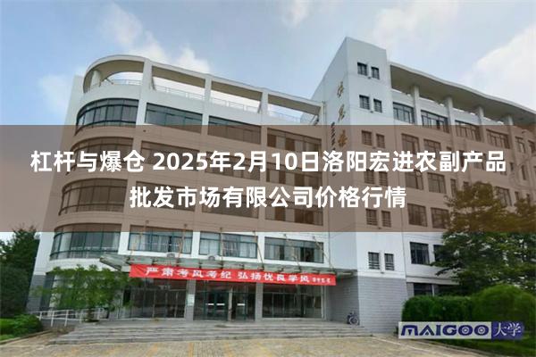 杠杆与爆仓 2025年2月10日洛阳宏进农副产品批发市场有限公司价格行情