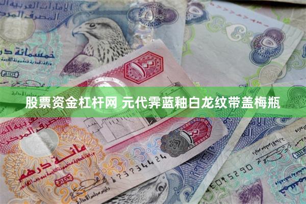股票资金杠杆网 元代霁蓝釉白龙纹带盖梅瓶